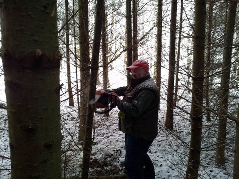 Bild 11 (1)