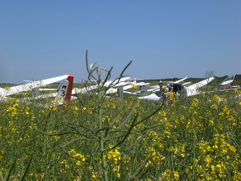 CIMG7842