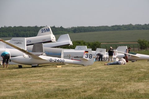 IMG 0395