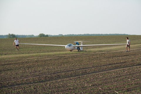 IMG 0431