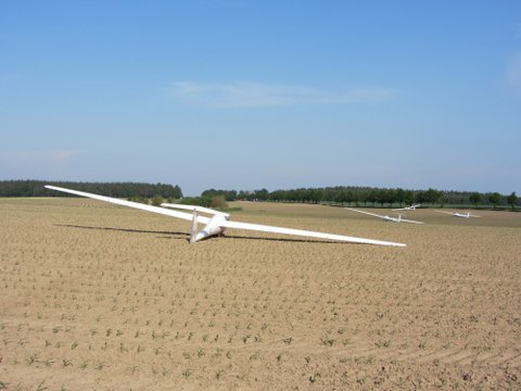 IMG 0467