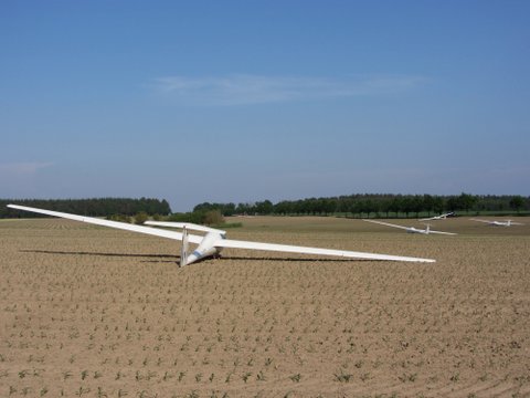 IMG 0468